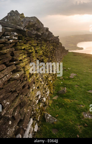 Old drystone wall on Mynydd Llangorse, Brecon Beacons national park, Wales Stock Photo
