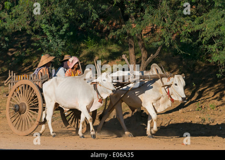 Bullock cart, Bagan, Myanmar Stock Photo