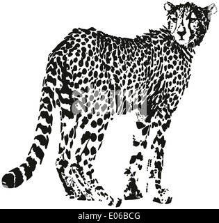 Leopard - big cat shaped from black spots - optical illusion. Stock Photo