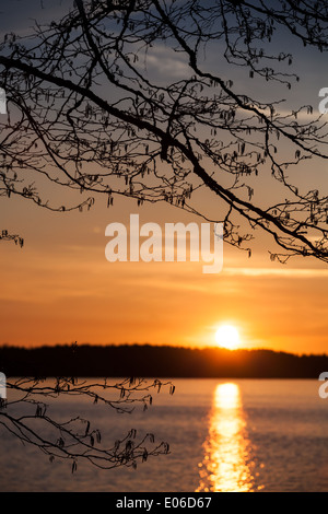 Sunset on the lake. Spring, Karelia. Elm lake Stock Photo - Alamy