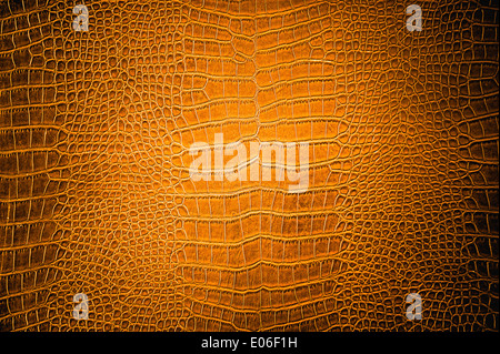 brown Crocodile leather, can use as background Stock Photo