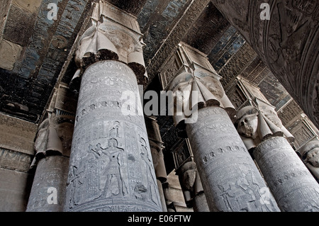 Egypt,Dendera,Ptolemaic temple of the goddess Hathor.View of ceiling and columns before cleaning. Stock Photo