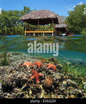 Tropical scene in the Caribbean sea with a thatched hut over water and underwater a coral reef with starfish Stock Photo