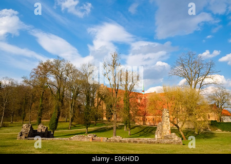 Chorin Abbey, Barnim, Brandenburg, Germany Stock Photo