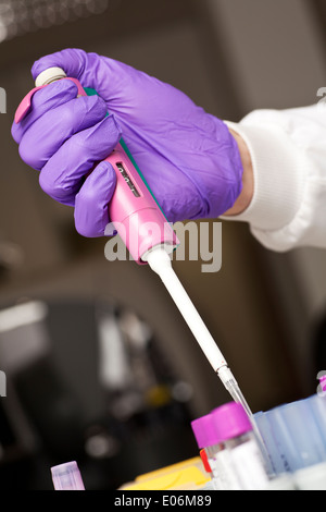 Pipetting - preparation of biological sample Stock Photo