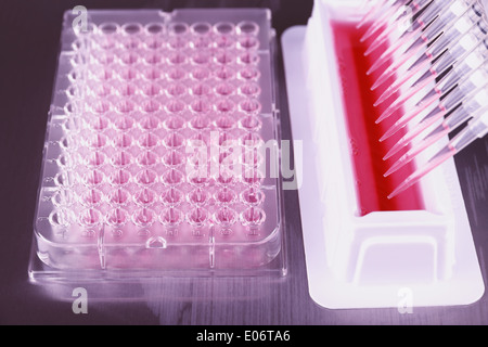 Tools for PCR amplification of DNA, 96-well plate with automatic pipette  Stock Photo