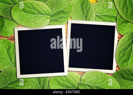 Blank vintage instant photo frames on wooden table covered with green leaves. Stock Photo