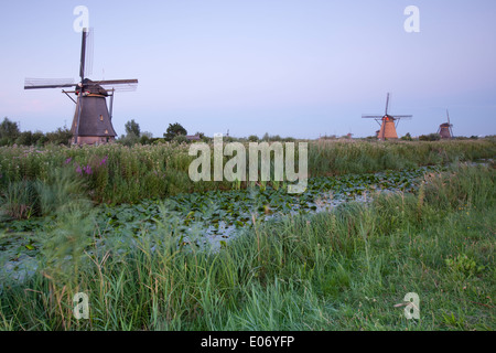 View of three windmills in the surrounding polders at sunset, Kinderdijk, Nieuw-Lekkerland, Holland. Stock Photo