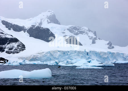 icebergs and glacier on cuverville island Antarctica Stock Photo