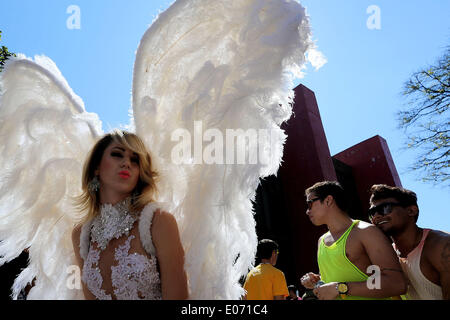 Sao Paulo, Brazil. 4th May, 2014. A person poses during the Gay Pride Parade, in Sao Paulo, Brazil, on May 4, 2014. © Rahel Patrasso/Xinhua/Alamy Live News Stock Photo