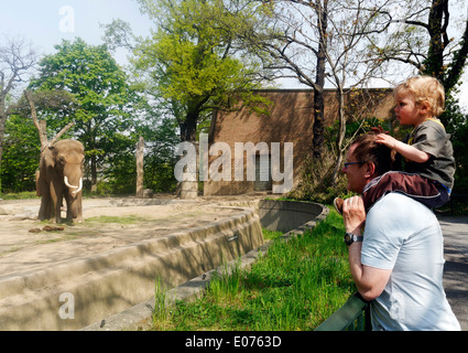 A young boy on his father's shoulders looking at the elephants in Berlin Zoo Stock Photo
