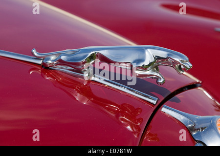 Vintage Car Hood Ornament of a Jaguar Stock Photo