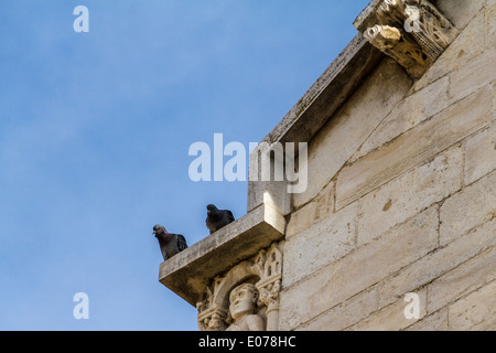 two pigeons sitting on the roof top of an antique building in italy Stock Photo