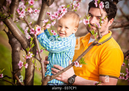Father and son looking at cherry tree blossom, Austria Stock Photo