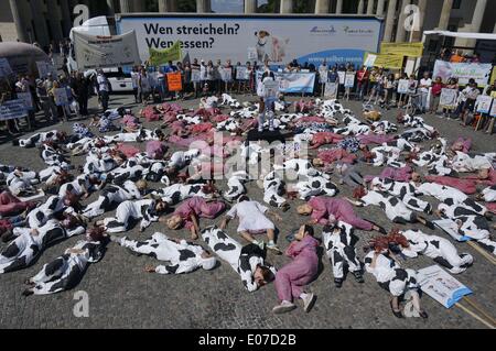 Berlin, Germany. 20th July, 2013. Protesters are dressed as pigs and cows lie on the floor at the Veggie Parade at Pariser Platz in Berlin, Germany, 20 July 2013. The Veggie Parade is a demonstration of vegans against the consumption of animal products. Fotoarchiv für Zeitgeschichte - NO WIRE SERVICE/dpa/Alamy Live News Stock Photo