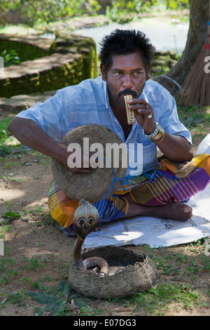 Snake charmer and King Cobra in Polonnawura, Sri Lanka 1 Stock Photo