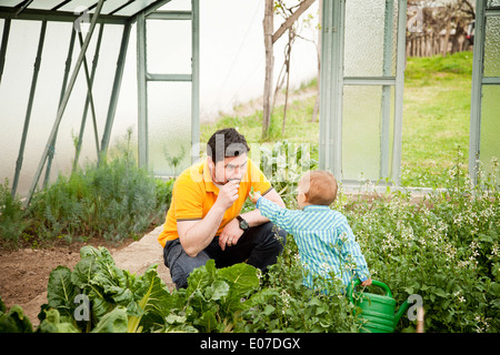 Father and son in vegetable garden, Austria Stock Photo