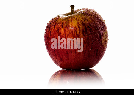 red fresh apple with water drops in backlight, isolated on white. Stock Photo