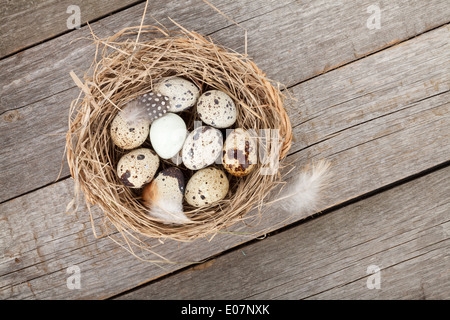 Quail eggs nest over wooden table background Stock Photo