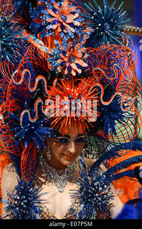 Frankfurt Main, Germany. 05th May, 2014. A female model presents a hairstyle in the 'Fantasy hairstyle' competition of the world hairdressing championships at Festhalle in Frankfurt Main, Germany, 05 May 2014. More than 1,000 participants from 50 countries will compete in the championship. Photo: ARNE DEDERT/DPA/Alamy Live News Stock Photo
