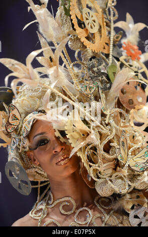 Frankfurt Main, Germany. 05th May, 2014. A female model presents a hairstyle in the 'Fantasy hairstyle' competition of the world hairdressing championships at Festhalle in Frankfurt Main, Germany, 05 May 2014. More than 1,000 participants from 50 countries will compete in the championship. Photo: ARNE DEDERT/DPA/Alamy Live News Stock Photo