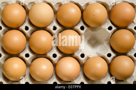 Brown eggs in a carton with an empty cell Stock Photo