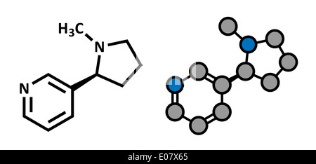 tobacco molecule Model of a nicotine with and cigarettes over white background Stock Photo Nicotine tobacco stimulant molecule |