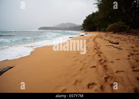 Beach on north shore of Kauai, Hawaii Stock Photo