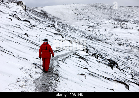 two tourists walking along ridge at hannah point penguin colony Antarctica Stock Photo