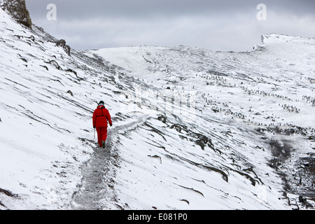 two tourists walking along ridge at hannah point penguin colony Antarctica Stock Photo