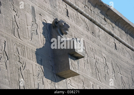 Lion-headed water spout on the outer wall of the Temple of Hathor at Dendera, Egypt Stock Photo