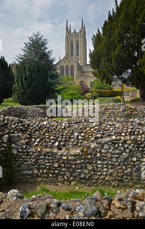 The Abbey Gardens and the Abbey of St. Edmund in Bury St. Edmunds, Suffolk, England Stock Photo