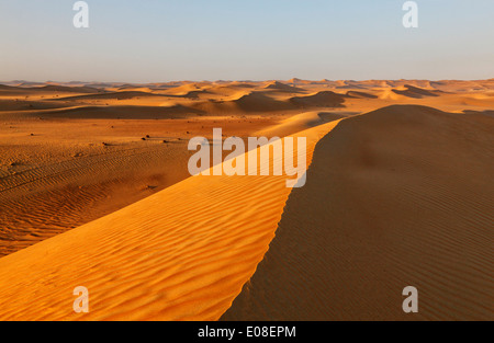 Sand dune landscape in Arabian desert. Stock Photo