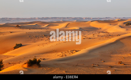 Sand dune landscape in Arabian desert. Stock Photo