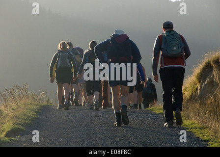 Walkers in Battle Hill Regional Park, Porirua, Wellington, North Island, New Zealand Stock Photo