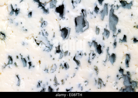 Blue cheese background texture closeup Stock Photo