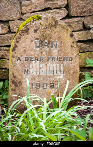 The grave of a dog called Dan with a headstone carved in stone Stock Photo
