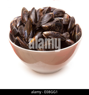 Bowl of raw mussels isolated on a white studio background. Stock Photo