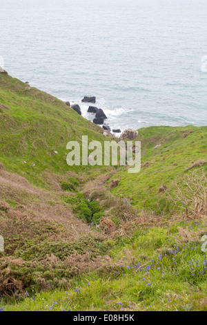 A view of the stream that leads into the sea at Porth Ysgo, Aberdaron a secluded beach / cove on the Llyn Peninsula Stock Photo