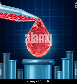 Lab grown meat concept as laboratory equipment developing artifical beef by cultivating animal tissue in vtro resulting in cruelty free synthetic protien that is edible as a symbol of future food engineering technology. Stock Photo