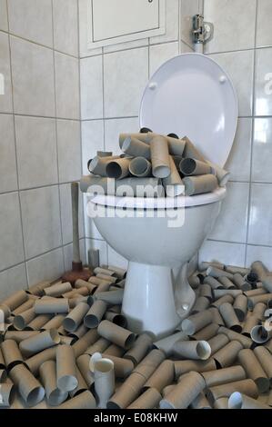 Illustration - Paperboard toilet paper rolls lie in and around a toilet in Germany, 04 May 2013. Photo: Berliner Verlag/Steinach - NO WIRE SERVICE