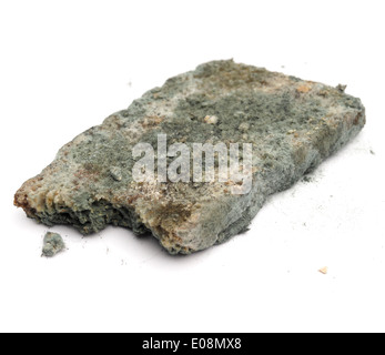 Moldy bread cut out isolated on white background Stock Photo