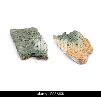 Moldy bread cut out isolated on white background Stock Photo