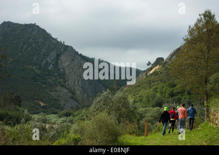 Group of people hiking in nature Stock Photo