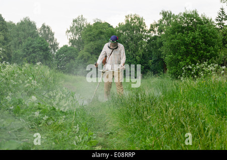 Worker man cut trim mow wet grass after rain Stock Photo