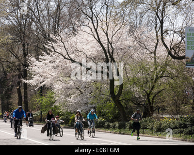 Recreational Activity, East Drive, Central Park, NYC Stock Photo