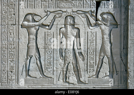 Egypt,Dendera,Ptolemaic temple of the goddess Hathor.Carvings on walls.Damnatio-memoriae Stock Photo