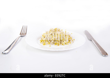 sprouts on a plate and cutlery on white background Stock Photo