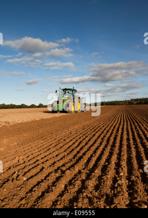 An agricultural tractor  fitted with a seed drill, drilling/sowing seed Stock Photo