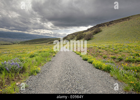Gravel Road Hiking Trail on Columbia Hills State Park in Washington State Stock Photo